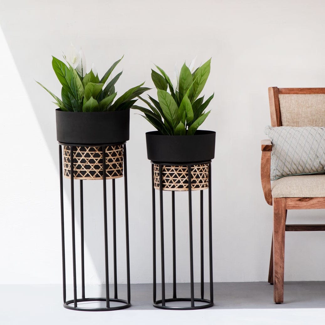 Gold Planter With Cane weaving Set Of 2