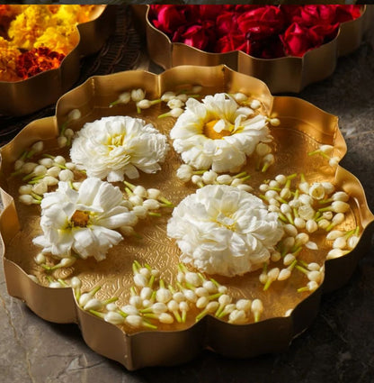 Star Urli