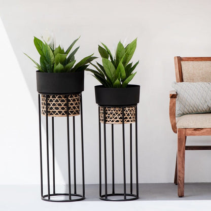 Gold Planter With Cane weaving Set Of 2