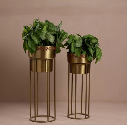 Gold Planter With Cane weaving Set Of 2